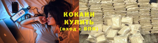 бошки Аркадак