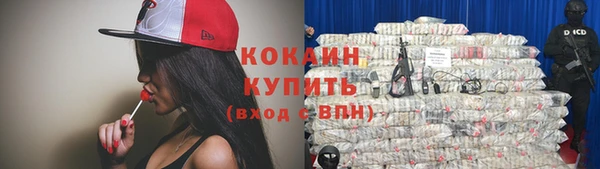 бошки Аркадак